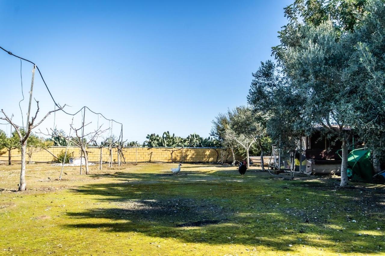 Reel Paradise Villa, Cyprus Larnaca Luaran gambar