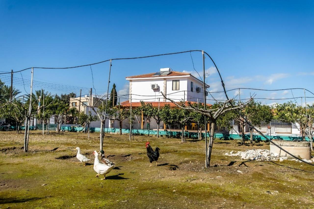 Reel Paradise Villa, Cyprus Larnaca Luaran gambar