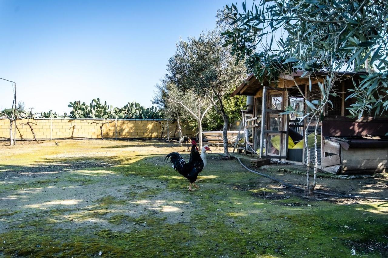Reel Paradise Villa, Cyprus Larnaca Luaran gambar