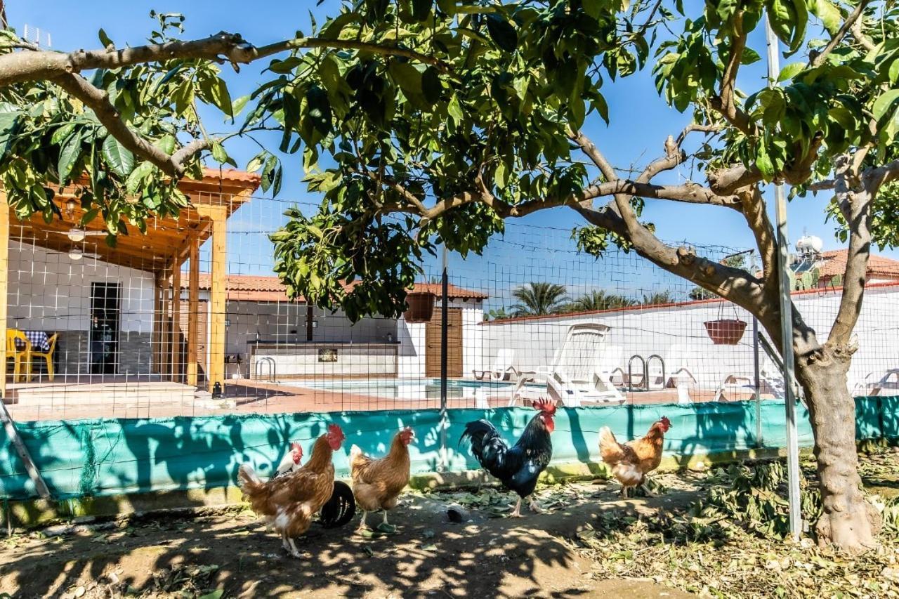 Reel Paradise Villa, Cyprus Larnaca Luaran gambar